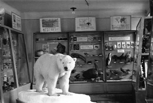 Jääkarutopis muuseumisaalus