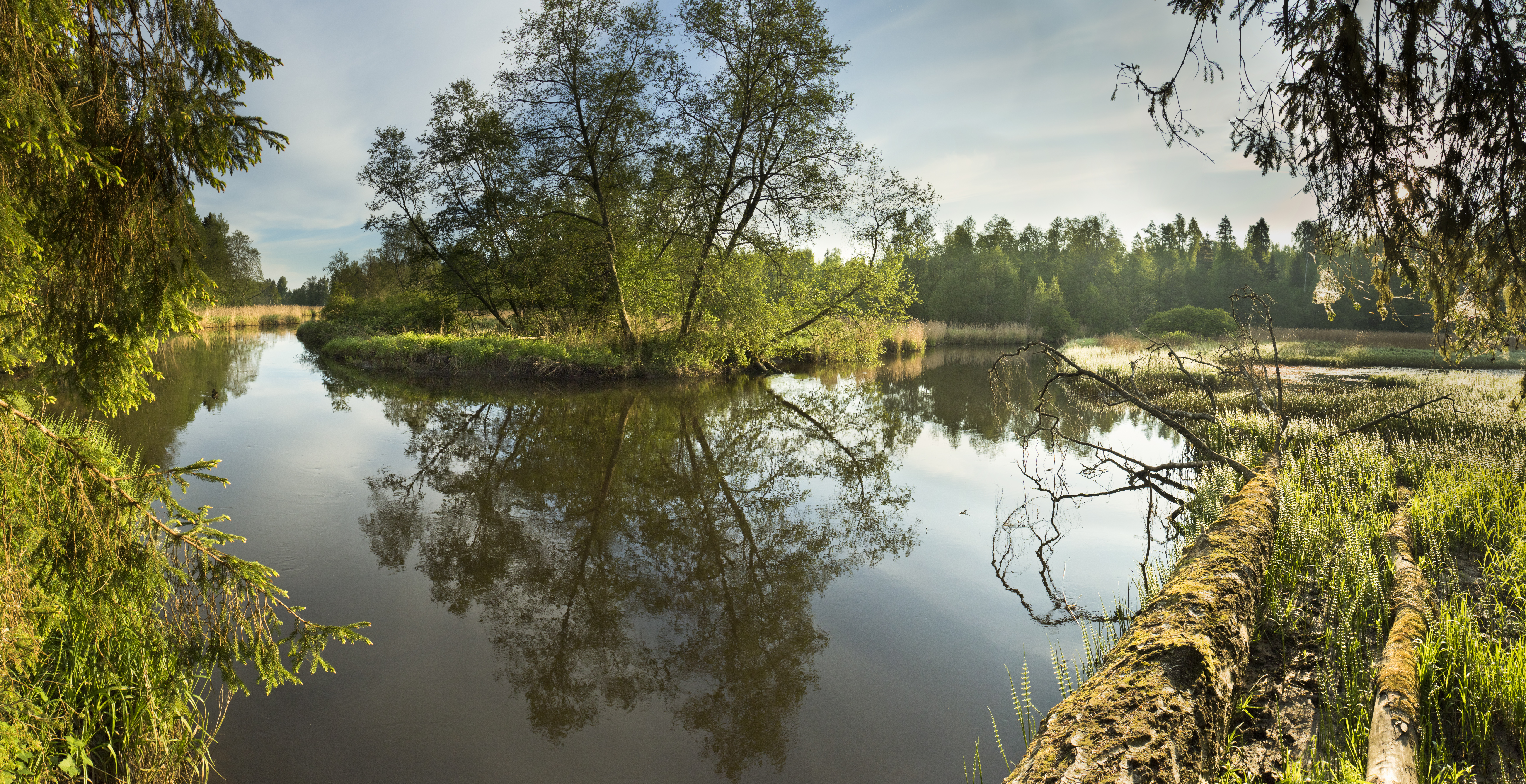 Järvesaar