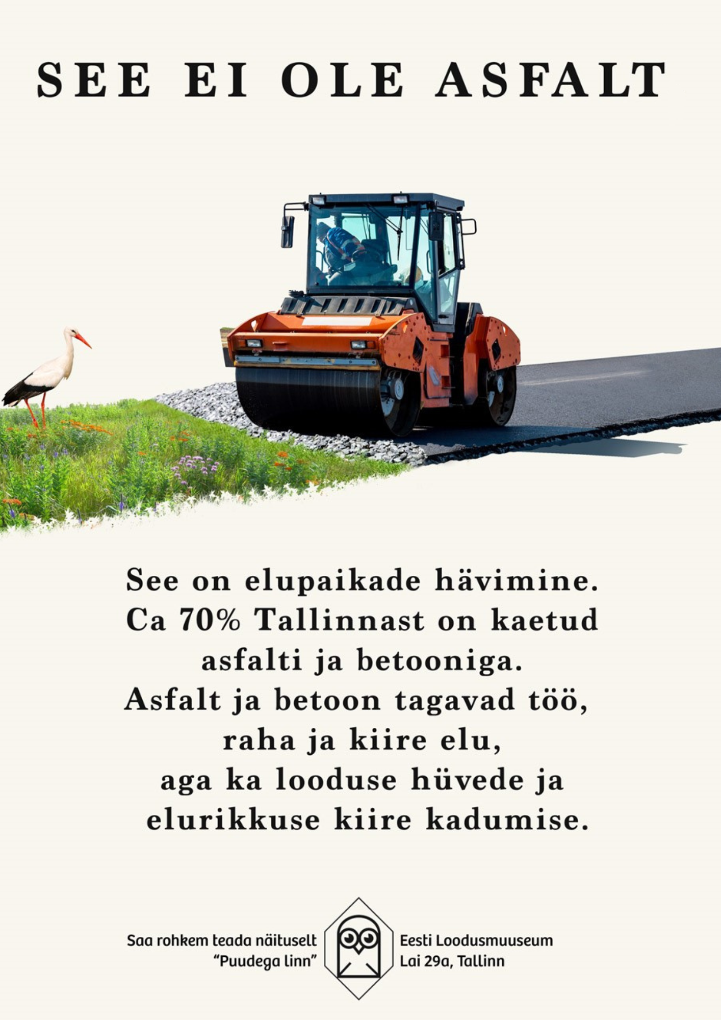 asfalt
