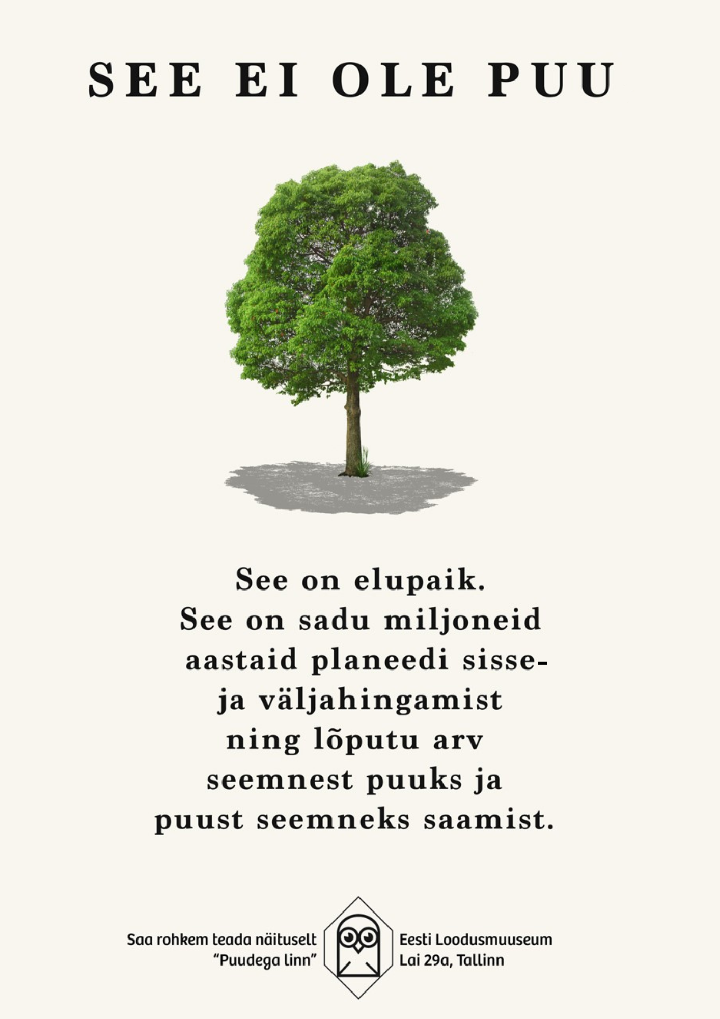 puu