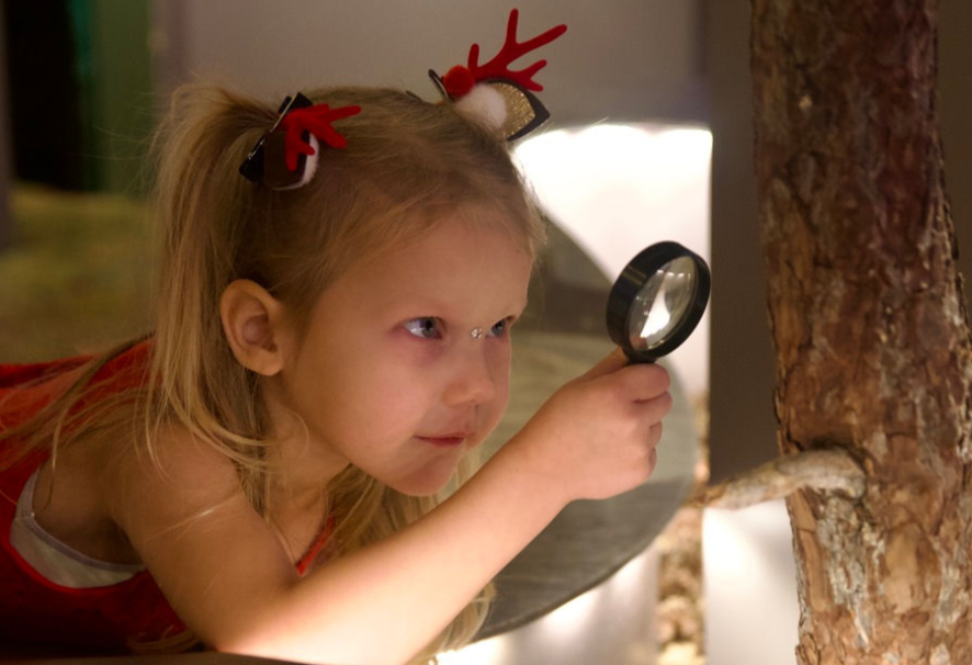 Jõulupeoline Loodusmuuseumis