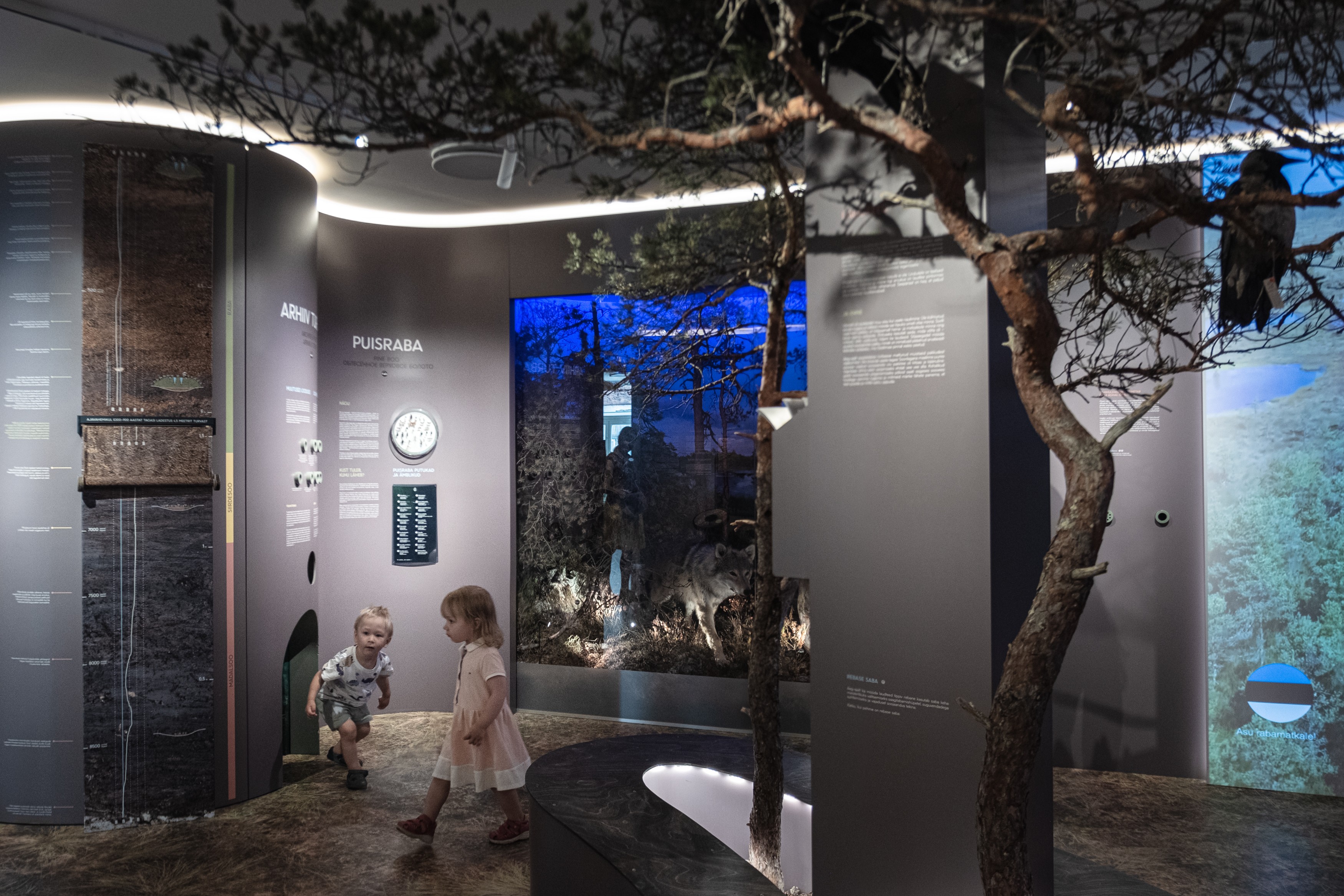 Eesti Loodusmuuseumi soode saal