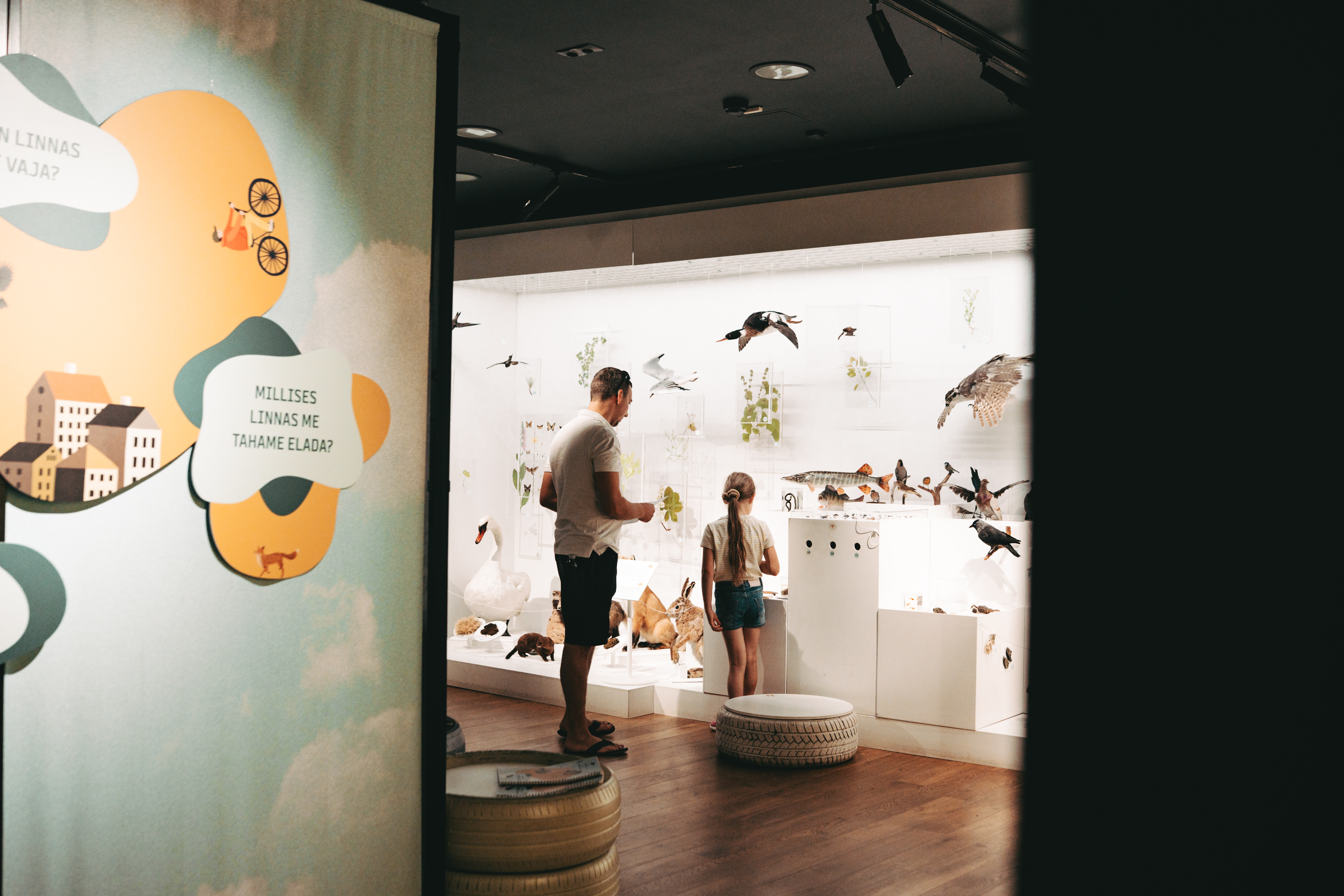 Loodusmuuseumi ajutine näitus "Puudega linn".