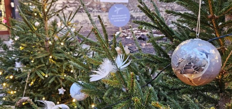 Ehetega kuusepuud muuseumimaja ees