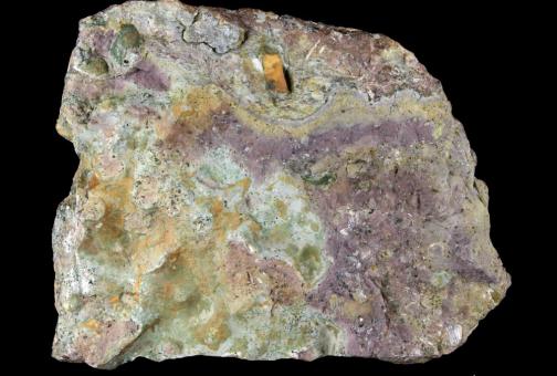 Planilimbata-lubjakivi ehk umbes 479-470 miljonit aastat vana kirju lubjakivi Rootsist, mis sisaldab trilobiidifossiile liigist Megistaspis planilimbata