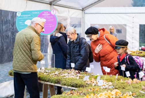 Külastajad vaatlemas seeni 60.seenenäitusel. Foto Aron Urb