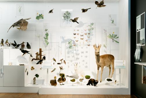 Suur vitriin erinevate loomadega näitusel "Puudega linn"