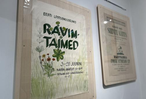 Eesti Loodusmuuseumi uus näitus "Üks muuseumimaja, kolm lugu"