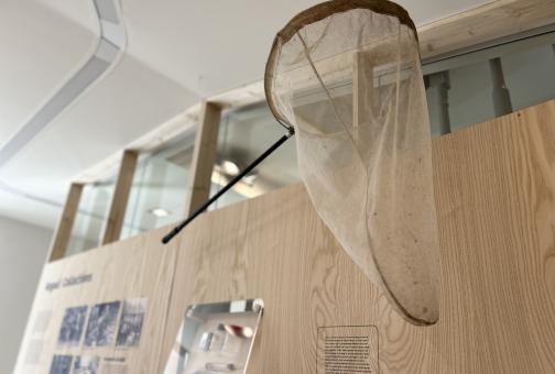 Eesti Loodusmuuseumi uus näitus "Üks muuseumimaja, kolm lugu"