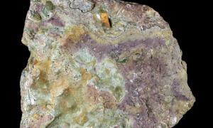Planilimbata-lubjakivi ehk umbes 479-470 miljonit aastat vana kirju lubjakivi Rootsist, mis sisaldab trilobiidifossiile liigist Megistaspis planilimbata
